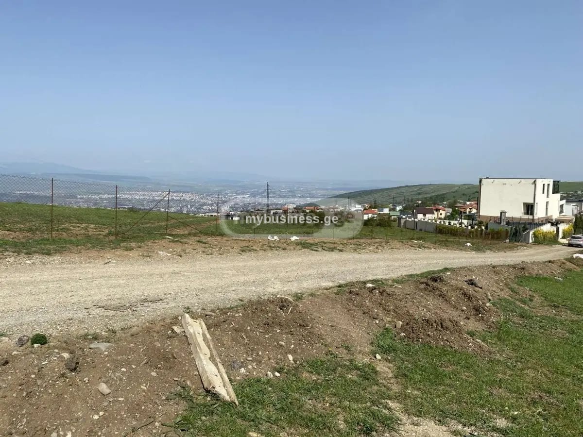 იყიდება მიწის ნაკვეთი წავკისში